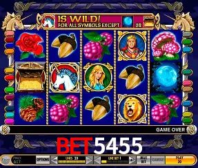 Descubra a Magia dos Jogos de Arcade no BET5455